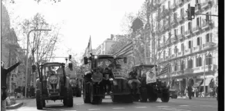 Tractorada 29 enero clave para el campo y Madrid image