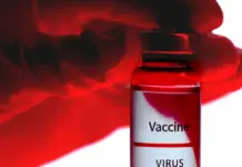 Vacuna hantavirus gana fuerza en 2026 y así avanza Vacuna hantavirus gana fuerza en 2026 y así avanza image