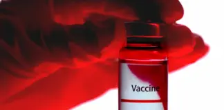 Vacuna hantavirus gana fuerza en 2026 y así avanza image