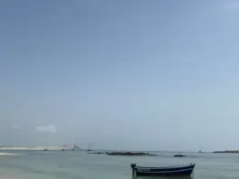 donde ver argentina cabo verde en directo hoy donde ver argentina cabo verde en directo hoy image