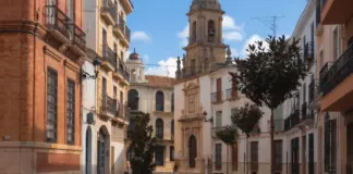 Baena refuerza su atractivo con nuevas oportunidades image