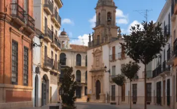 Baena refuerza su atractivo con nuevas oportunidades image