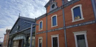 Cádiz - Valladolid deja pistas sobre el nuevo Pucela image