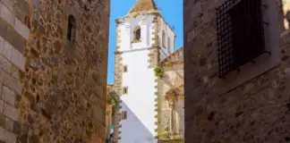 El Junquillo, el misterio tras la tragedia de Cáceres image