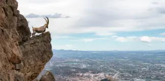 Cinco dias de tensión en el Ibex hoy image