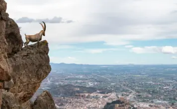 Cinco dias de tensión en el Ibex hoy image
