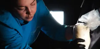 Ivana Rodríguez y el giro que lo cambia todo image