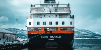 Mette-Marit de Noruega reaparece junto al rey Harald image