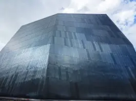 Nueva Zelanda - Bélgica y la clave del grupo image