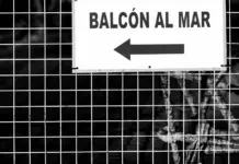 Palma: el grito de un niño que alertó a todo un edificio Palma: el grito de un niño que alertó a todo un edificio image