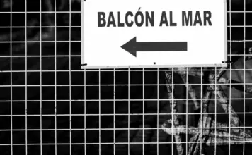 Palma: el grito de un niño que alertó a todo un edificio image