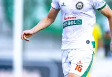 palmeiras – jacuipense dónde verlo y posible once palmeiras - jacuipense dónde verlo y posible once image