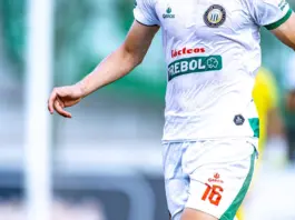 palmeiras – jacuipense dónde verlo y posible once palmeiras - jacuipense dónde verlo y posible once image