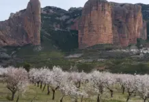 Riglos y el incendio que salvó un legado real image