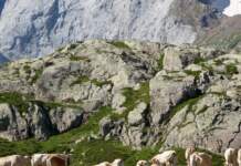 Etapa tour hoy clave en alta montaña y horarios image
