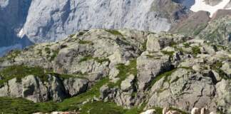 Etapa tour hoy clave en alta montaña y horarios image
