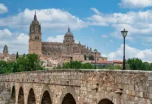 N-620: detenido tras el accidente mortal de Salamanca N-620: detenido tras el accidente mortal de Salamanca image
