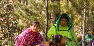 atleti Tarahumara que brillaron en el UTMB 2026 image