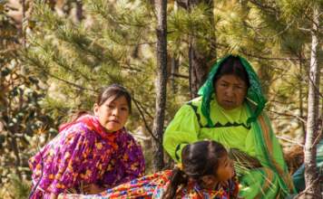 atleti Tarahumara que brillaron en el UTMB 2026 image
