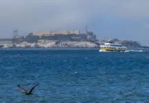Barco hundido cerca de Alcatraz deja un muerto Barco hundido cerca de Alcatraz deja un muerto image