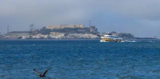 Barco hundido cerca de Alcatraz deja un muerto image