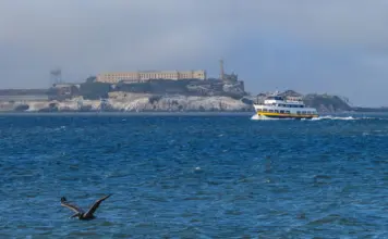 Barco hundido cerca de Alcatraz deja un muerto image