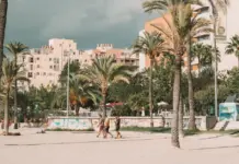 wetter mallorca alerta por calor y alivio esperado wetter mallorca alerta por calor y alivio esperado image