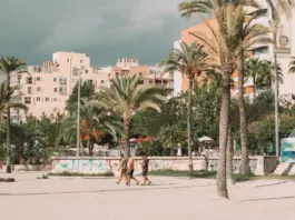 wetter mallorca alerta por calor y alivio esperado image