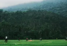 australia vs bangladesh deja un test inolvidable australia vs bangladesh deja un test inolvidable image