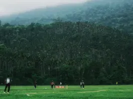 australia vs bangladesh deja un test inolvidable image