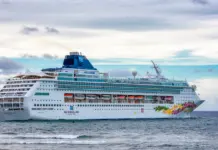 Crucero y norovirus qué hacer ante el brote Crucero y norovirus qué hacer ante el brote image