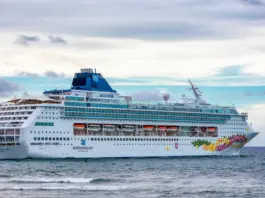 Crucero y norovirus qué hacer ante el brote Crucero y norovirus qué hacer ante el brote image