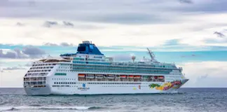 Crucero y norovirus qué hacer ante el brote image