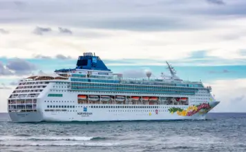 Crucero y norovirus qué hacer ante el brote image