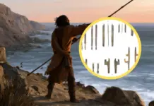 Descubren tecnología de caza ancestral en Caleta Huelén 42 (Chile)