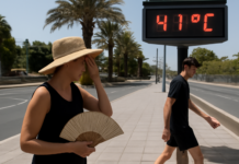 El Gobierno de Canarias sube nivel de alerta por altas temperaturas: ¿Qué zonas están afectadas?