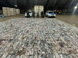 Desarticulado el grupo que introducía 21 toneladas de cocaína de Ecuador a España