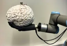 Recupera visión y tacto: nueva tecnología cerebral revoluciona tratamiento para enfermedades incurables