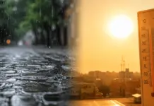 «Combate el calor: regar el tejado con agua de lluvia»