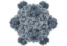 La IA crea 16 virus inéditos para resolver problemas globales