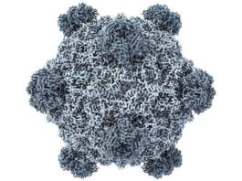 La IA crea 16 virus inéditos para resolver problemas globales
