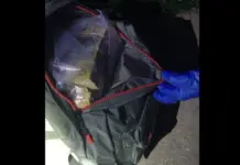 Descubren 300.000 dólares tras naufragio de yate con 247 kilos de cocaína