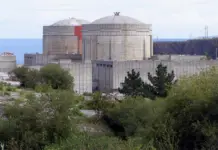 De central nuclear a piscifactoría de lenguado: un salto tecnológico impresionante
