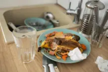 Millón de muertes al año por enfermedades de alimentos: ¿Existirá un riesgo cero?