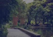 Parque libre de mosquitos en Pekín: tecnología térmica y menta al rescate