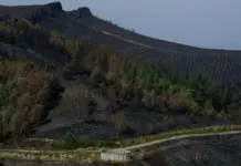 El pos-incendio en Ourense: la lucha por prevenir otra catástrofe