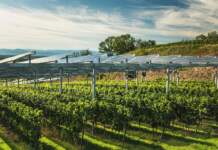 Eurecat se une a Tecsol-Frut en innovación agrivoltaica