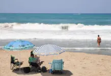 El calor récord en los mares europeos pone en jaque la fauna