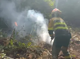 Incendio en Madrid: la UME llega y confinan dos municipios