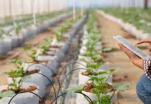 Agricultura de precisión 2.0: el salto a la interoperabilidad